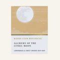 Lemongrass & Sweet Orange Solid Bath Oil Bar: 45g