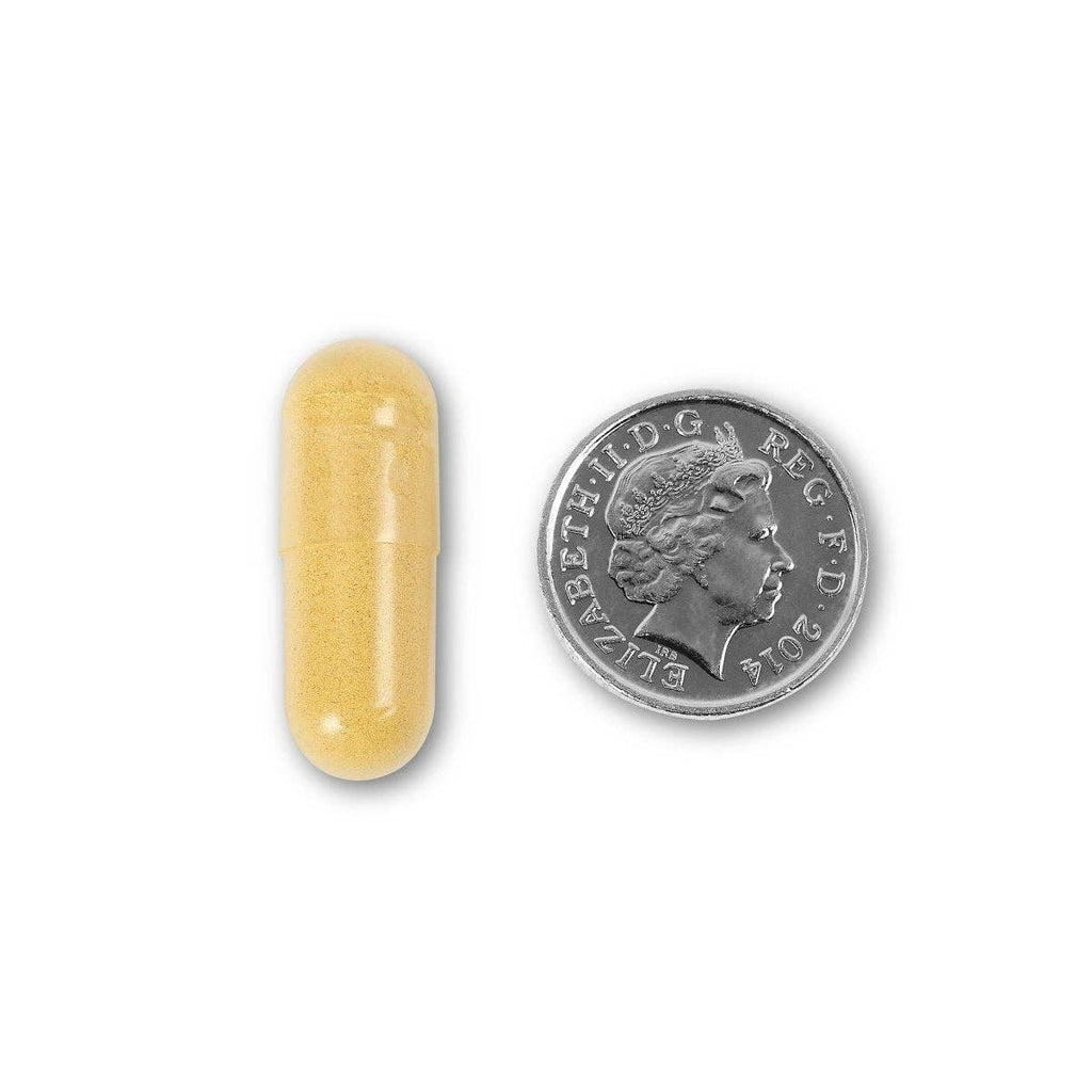 GLP-1 Gut Health Support