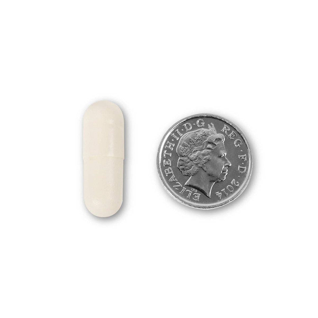 Pro-Biotic 10 Billion Gut Microbiome and Immune Support