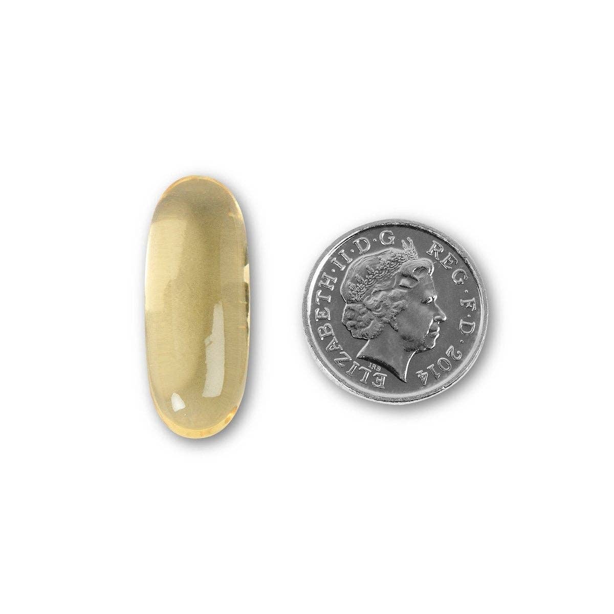 OMEGA 3 FISH OIL SOFTGELS
