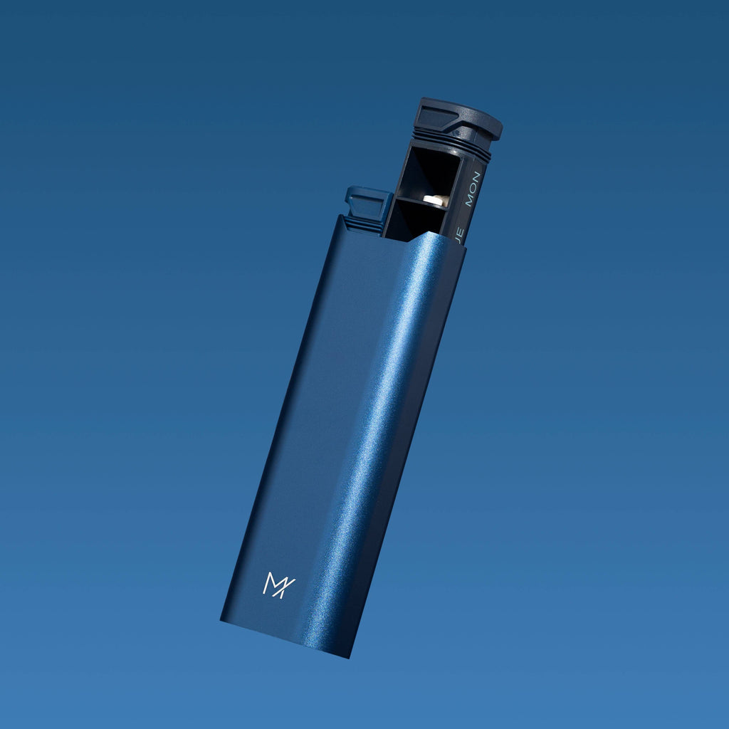 AM/PM Pill Box: Navy Blue