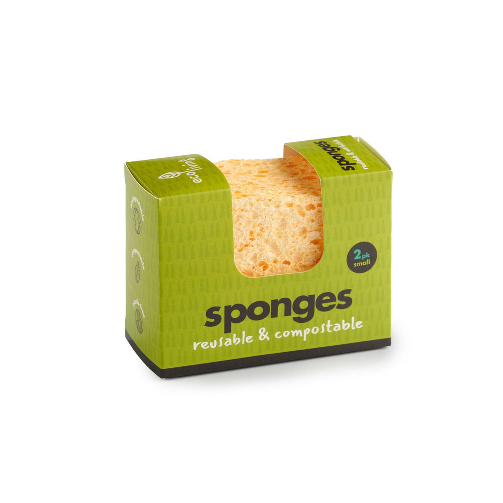 Plastic Free Compostable Sponge: 2 Pack Large